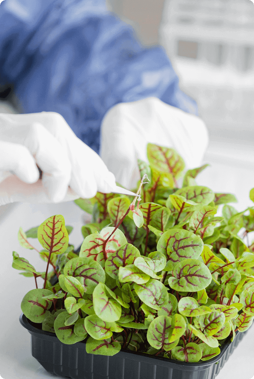 Metabolomics for Crop Performance, Soil Health & Natural Product Discovery