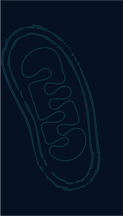 Cell