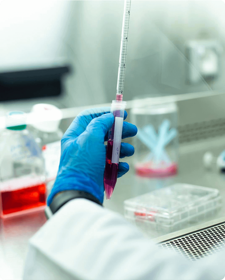 Metabolomics of Spent Media for Process Insights